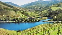 Authentic Small Group Douro Wine Tour with Lunch & River Cruise