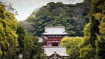 When Emperors Reigned and Shoguns Ruled