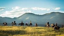 2 Hour Horseback Ride