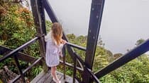 Cameron Highland Mossy Forest Experience Day Trip from Ipoh 
