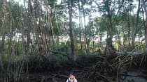 Proboscis Monkey, Water Village & Bandar by Night Private Tour