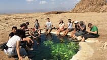 טיול דפרסיית דנאקיל של 3 ימים