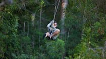 Tsitsikamma Canopy Tour
