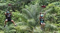 St. Kitts Zipline Experience