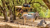 Safari West Sonoma Adventure Tour