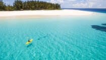 Full-Day Mnemba Island Live Aquarium & Turtle House - Zanzibar
