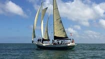 Schooner Clearwater- Sailing Cruise-Clearwater Beach