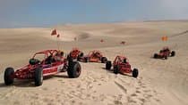 חווית ג'יפ חול, UTV או ATV בפיורם ביץ'