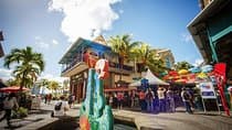 Private taxi : North guided tour of mauritius.
