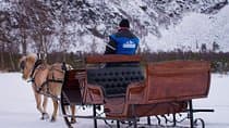 Sleigh or wagon ride in the arctic Country side 