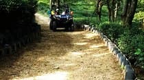 פעילות הרפתקאות רכיבת ATV 2.25 קילומטרים RZR 570