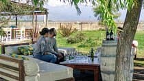 Uco Valley Wineries Day with Private Driver