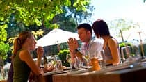 Waipara Wine Tour from Christchurch - including Lunch & Tastings