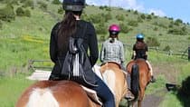 Blue Flower Trail Ride