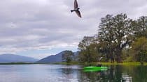 From San Pedro Sula: Yojoa Lake Area Day Trip
