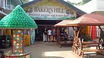 City Tour of Puerto Princesa sightseeing excursion