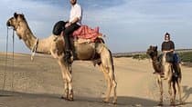 טיול ספארי גמלים במדבר וטיול ספארי ג'יפ מג'ודפור