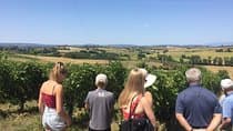 Wine and olive oil tastings with the locals 
