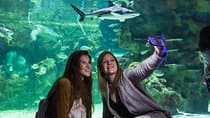 כרטיס כניסה לSEA LIFE ברייטון