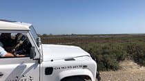 ספארי קמרג' 4x4 4 שעות - סיור פרטי - יציאה מארל.