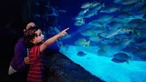 כרטיס כניסה לSEA LIFE בלאקפול