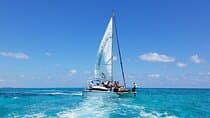 Private Full Day Charter from San Pedro