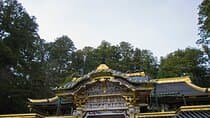 Nikko Customized Private Tour: See Top Attractions in 1 Day