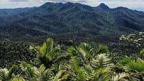 El Yunque Rainforest Waterslides and Beach Tour with Transport