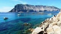 Boat tour to explore the Marine Protected Area of Tavolara