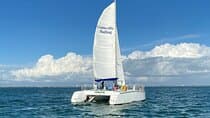 Copacetic Day Sail