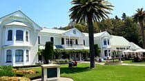 Napier Gourmet Luncheon + Winery & Gin Taste ( no gin Mon - Wed )