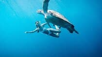 טיול שנ snorkeling באיים גילי - גילי טראנגאן, גילי מנו וגילי אייר, מלומבוק