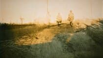 סיור בשביל הבוג הרדוף. גולוויי. מודרך פרטי. 3 שעות.