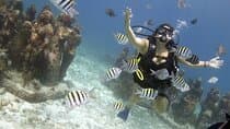PADI Discover Scuba Diving עבור צוללים ללא הסמכה