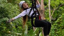 פארק הזיפליין JungleQui ביער הלאומי אל יונקה