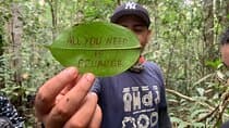 לודג' דולפיני קויובנו https://cuyabenodolphinlodge.com/