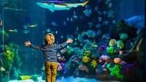 כרטיס כניסה לSEA LIFE טיממנדורף שטרנד