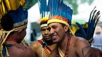 Itaguare Beach Private Tour with Indigenous Village from Santos