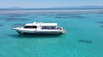 ABC Snorkel Charters פורט דאגלס שנורקלינג מקסימום 12 נוסעים