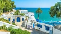Private tour: Medina,Carthage ,Sidi Bou Said, Bardo Museum+lunch
