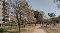 City tour in Brasilia private in Portuguese