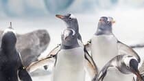 SEA LIFE Konstanz Admission Ticket