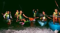 Shared Bioluminescence kayak tour in Holbox