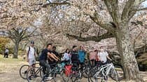 Nara - Heart of Nature Cross Bike Tour