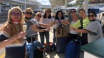 העברת הלוך ושוב בין נמל התעופה אנטיגואה למלונות אנטיגואה