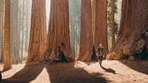 Sequoia Full Day Private Tour & Hike