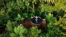 Rotorua Forest Hot Tub Soak at Secret Spot