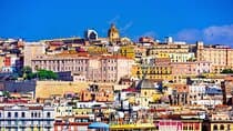 Cagliari city tour and flamingo park by minivan and on foot