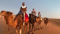 Exclusive Merzouga Desert Safari: Camel Ride, Sandsurf & Dinner