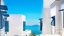 Private tour: Medina,Carthage ,Sidi Bou Said, Bardo Museum+lunch